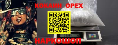 шишки Лесосибирск