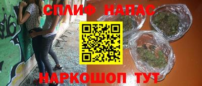 шишки Лесосибирск