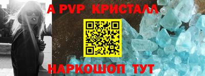 шишки Лесосибирск